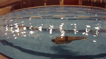 isivaqueiro  GIF