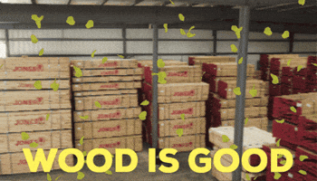 RON JONES HARDWOOD GIF