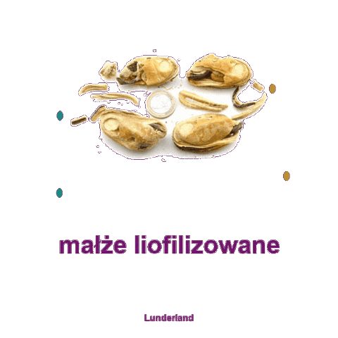 Pies Suplement Sticker by Ekome