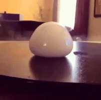 g7828202  GIF