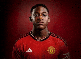 United GIF