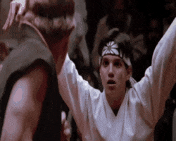 ralph macchio the karate kid 1984 GIF