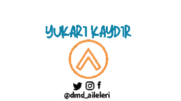 Dmd Sticker