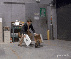 Season 4 Cat GIF by The Office