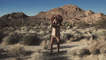 Jamming Trumpet Solo GIF by Sofa City Sweetheart