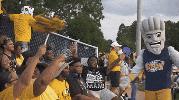 Cheer Fans GIF by Georgia Southwestern State University