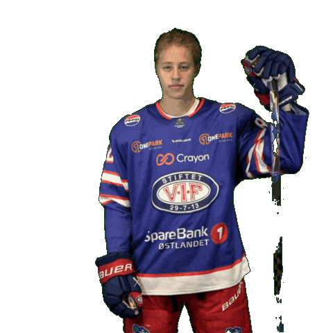 82 Sticker by VIF Hockey