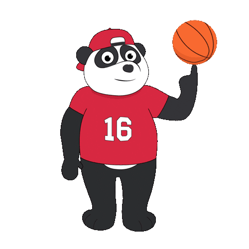 Sport Basketball Sticker by Labsitters