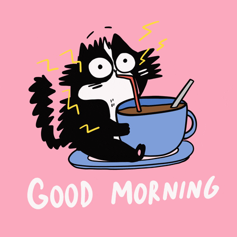 Good Morning Cat GIF by Franziska Höllbacher