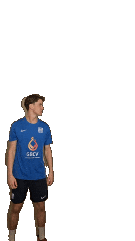 Sdcp2 Sticker by SDC Putten