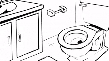 Toilet GIF
