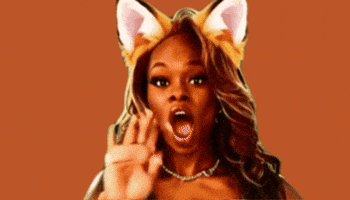 Foxxe Banner