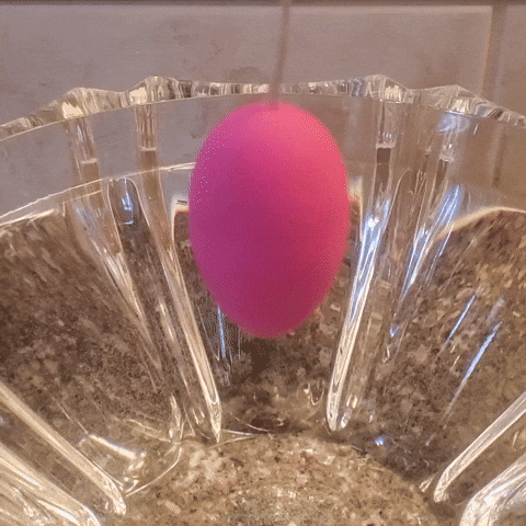TheAdultToyShop GIF