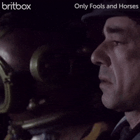 Only Fools And Horses Del GIF by britbox