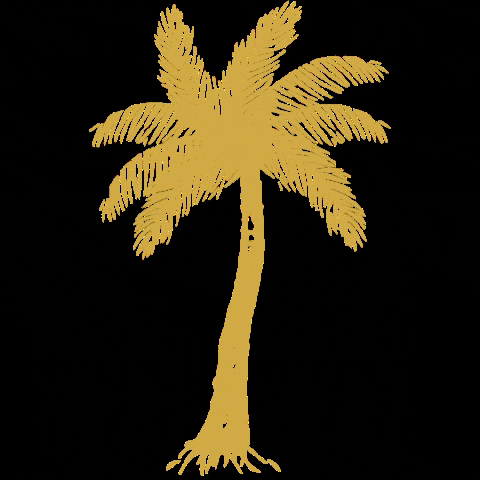 ashleyroseclothing vacation island hawaii palm GIF