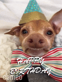 Gay-birthday GIFs - Get the best GIF on GIPHY