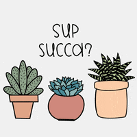 Plants Sup GIF