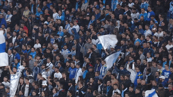 GIF by Olympique de Marseille
