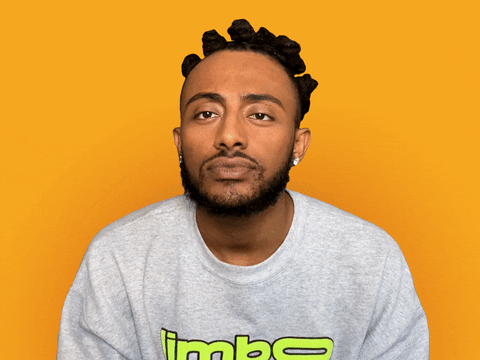 Giphy - Yes Sir GIF by Aminé
