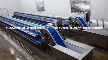 Bang Tai GIF