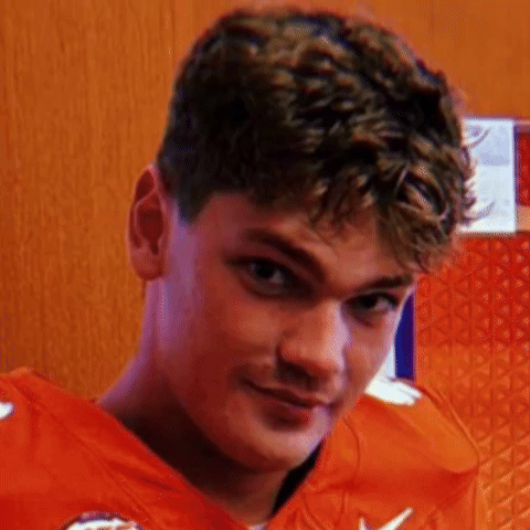 Clemson Tigers Touchdown GIF