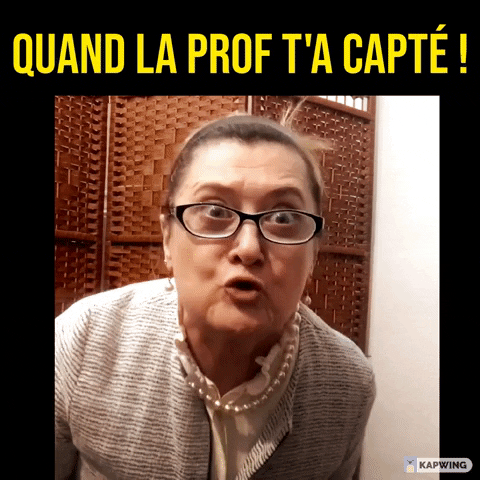 Prof Bougie GIF by Sonia DERORY
