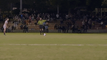 College Womens Soccer GIF by Trinity University