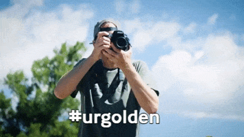 GIF by You're Golden