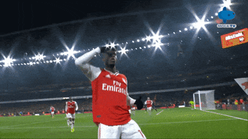 Arsenal Ligainggris GIF by MolaTV