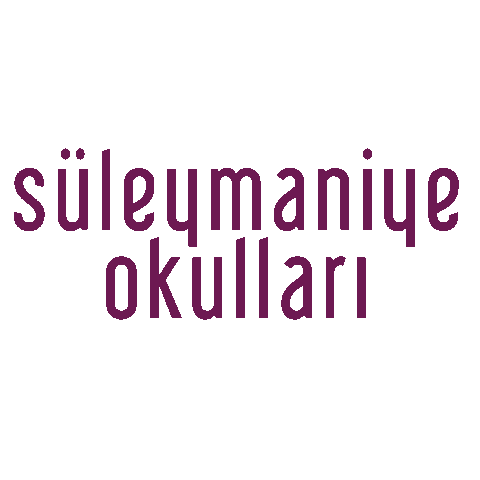 suleymaniye okulları Sticker