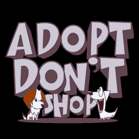 Shop Adopt GIF