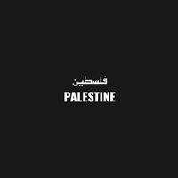 Palestine GIF by BD Feliz