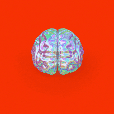 Melting-brains GIFs - Get the best GIF on GIPHY