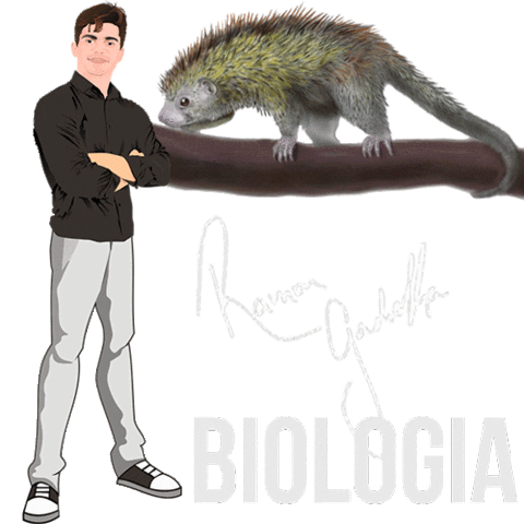 thematchrecife Sticker