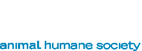 Humane Society Love Sticker by AnimalHumaneMN