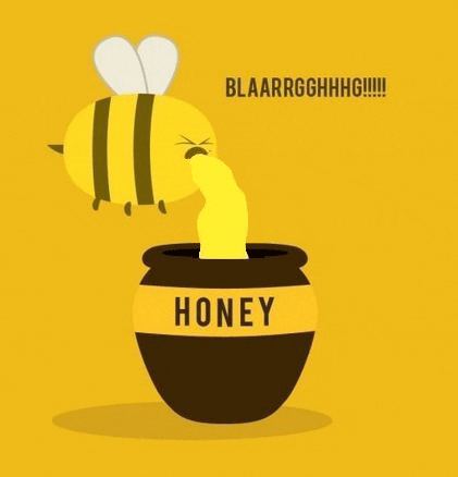 Honey Bee GIF