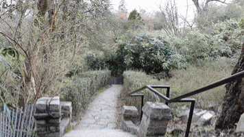 GIF by VCUarts Kinetic Imaging