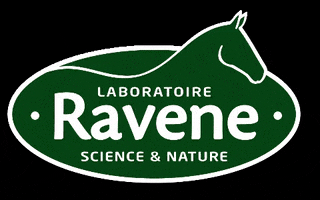 Logo Horse GIF by Ravene