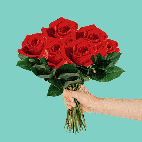 Bouquet GIFs - Find & Share on GIPHY