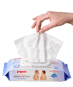 Pigeon Arabia Sticker