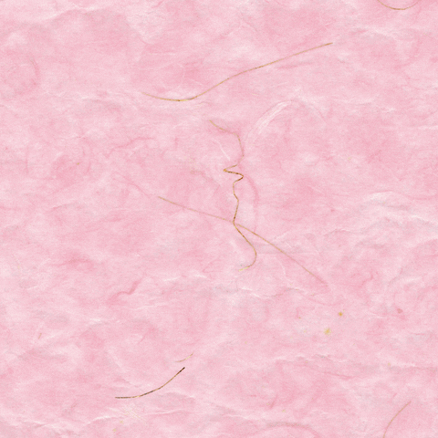 Milo & Me GIF
