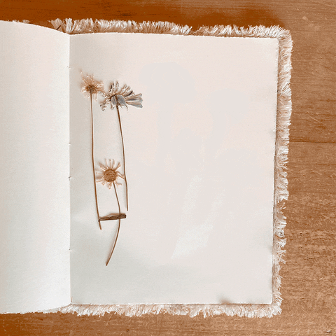 arazalele flores agenda mariposas cuaderno GIF