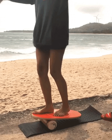 Balbobalanceboard GIF