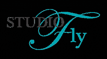 STUDIOFLY GIF