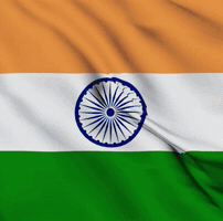 Niharika Miss Globe GIF