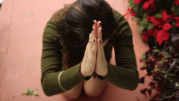 Elsenderodelchaman GIF