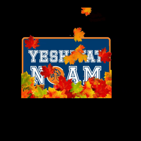 Fall Thanksgiving GIF by Yeshivat Noam