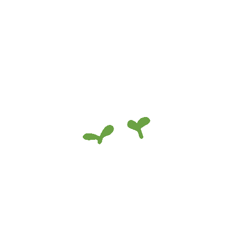 Plant Sticker
