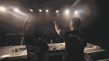 Dance Music Dancing GIF by Protocol Recordings