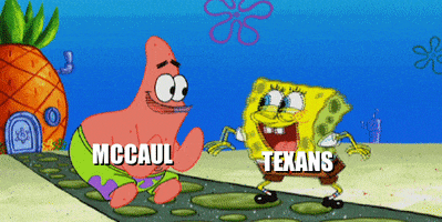 Texas Houston GIF by McCaul for Congress